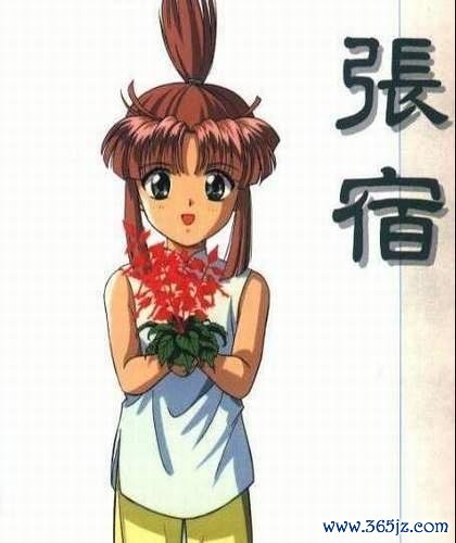 张宿游戏全流程攻略秘籍_张宿游戏新手入门到精通