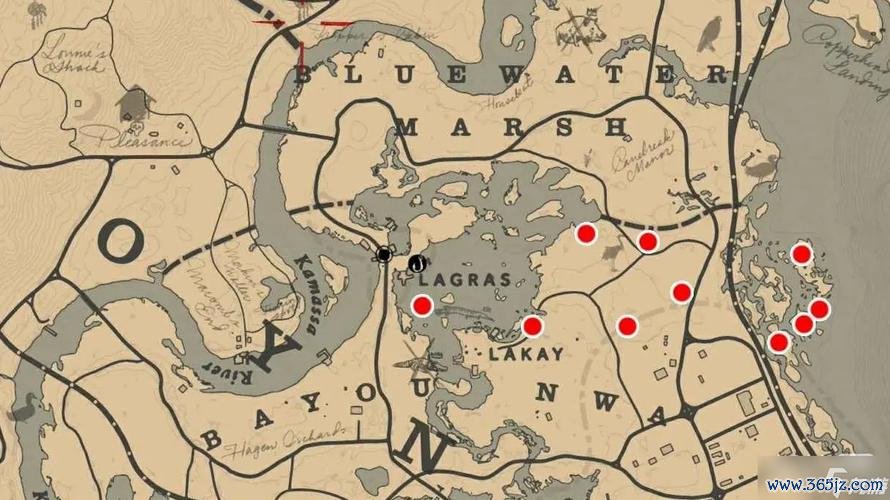 异宝最全游戏攻略解说_异宝最新游戏技巧通关