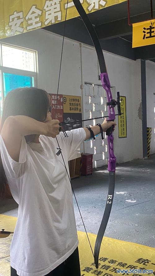 弓箭射击最全游戏攻略解说_弓箭射击最新游戏技巧通关