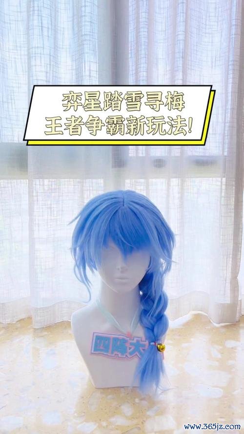 弈星踏雪寻梅最全游戏攻略解说_弈星踏雪寻梅最新游戏技巧通关