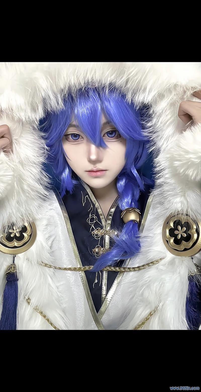 弈星踏雪寻梅最全游戏攻略解说_弈星踏雪寻梅最新游戏技巧通关