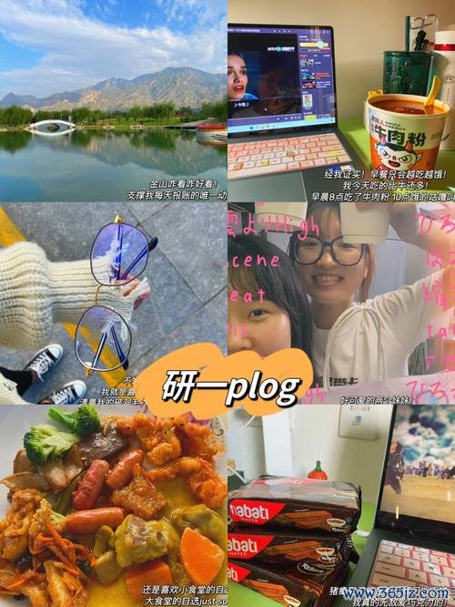 开心豆最全游戏攻略解说_开心豆最新游戏技巧通关