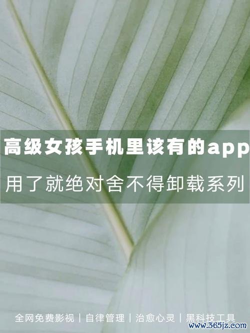 开心悄悄乐最全游戏攻略解说_开心悄悄乐最新游戏技巧通关