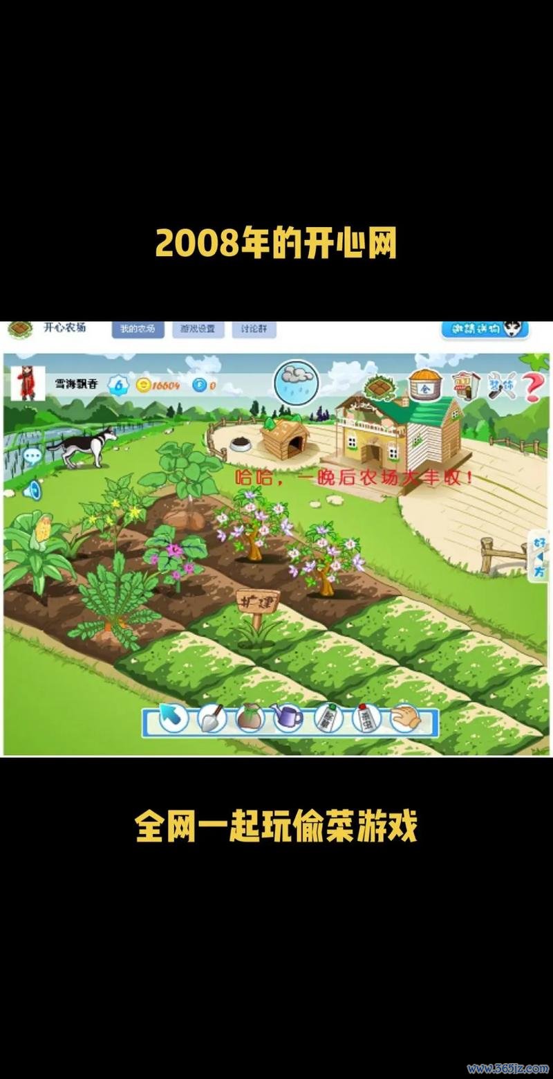 开心农场最全游戏攻略解说_开心农场最新游戏技巧通关