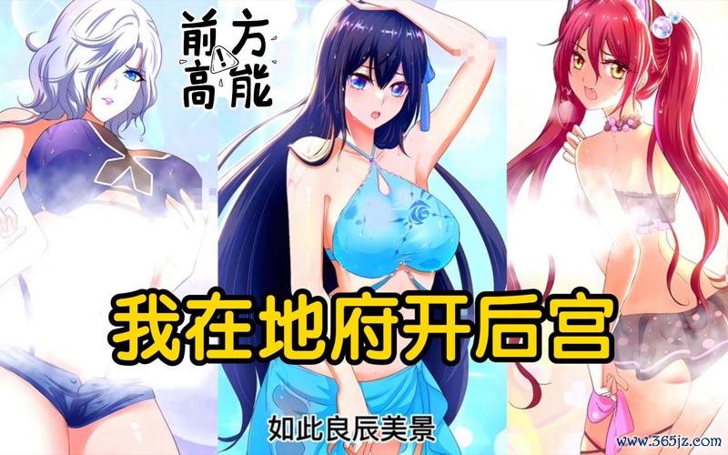 开后宫最全游戏攻略解说_开后宫最新游戏技巧通关