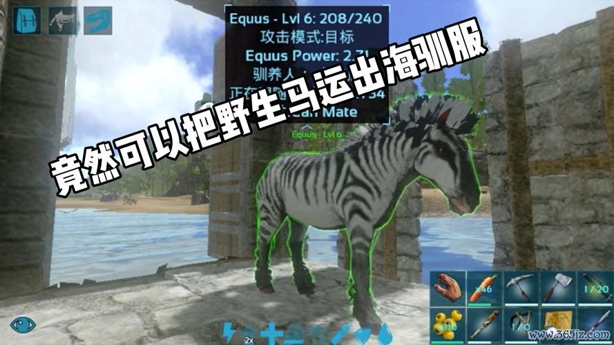 庞马最全游戏攻略解说_庞马最新游戏技巧通关