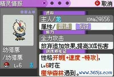 幼猎鹰最全游戏攻略解说_幼猎鹰最新游戏技巧通关