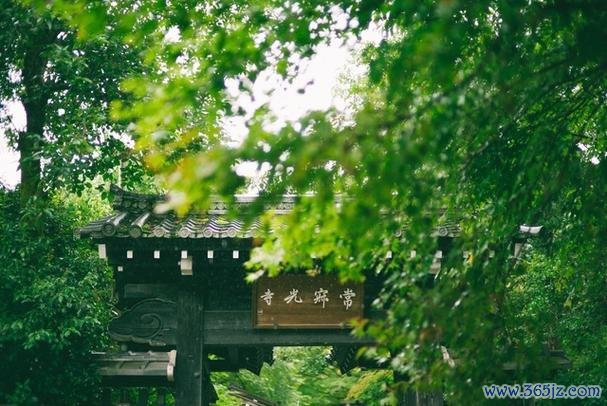 常寂光最全游戏攻略解说_常寂光最新游戏技巧通关