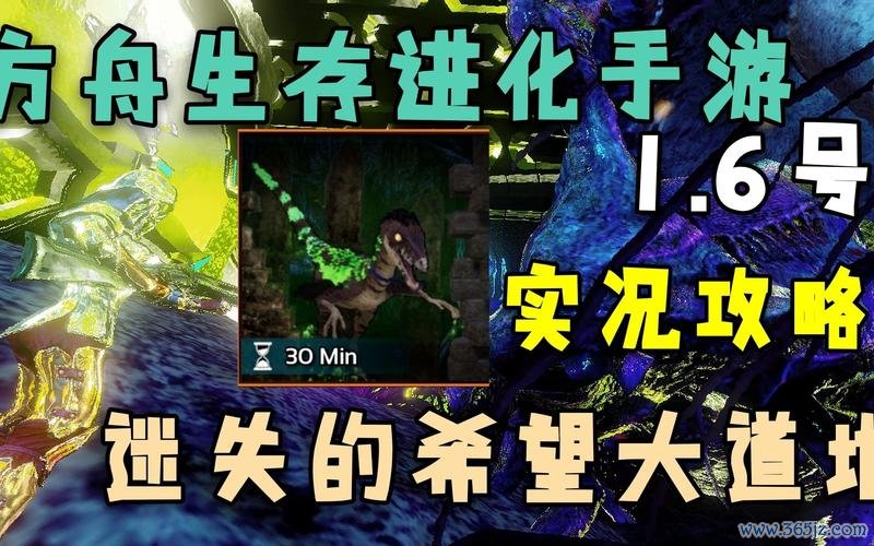 希望大道最全游戏攻略解说_希望大道最新游戏技巧通关