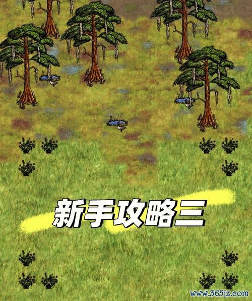 希望之村最全游戏攻略解说_希望之村最新游戏技巧通关