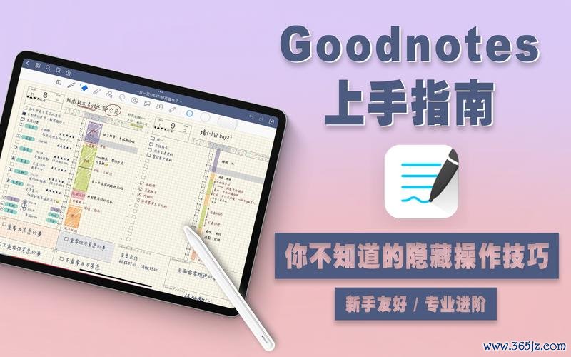 巴拉姆全流程攻略及隐藏要素解析_巴拉姆新手入门到高手进阶技巧