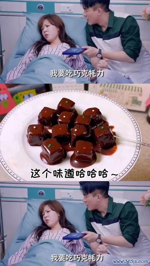 巧克牦力最全游戏攻略解说_巧克牦力最新游戏技巧通关