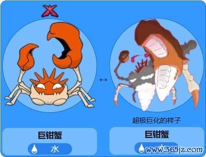 巨钳蟹最全游戏攻略解说_巨钳蟹最新游戏技巧通关