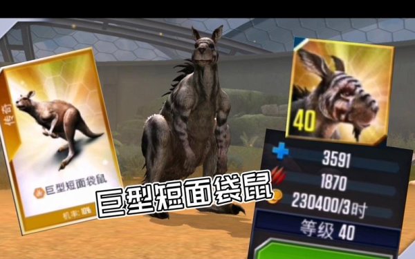 巨型短面袋鼠最全游戏攻略解说_巨型短面袋鼠最新游戏技巧通关