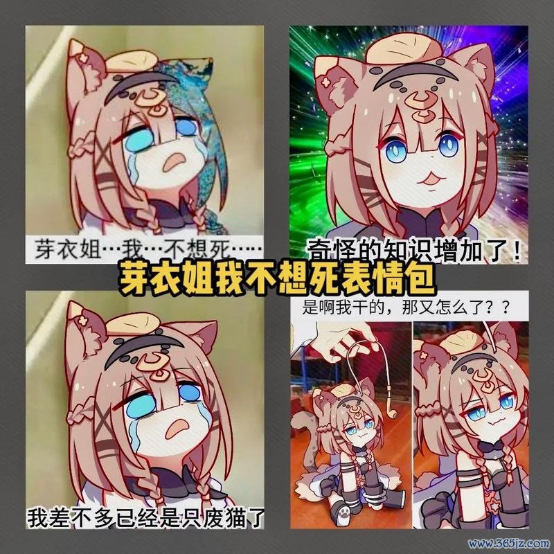 崩坏三表情包最全游戏攻略解说_崩坏三表情包最新游戏技巧通关