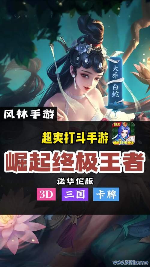 崛起终极王者最全游戏攻略解说_崛起终极王者最新游戏技巧通关