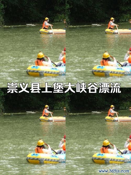 崇义最全游戏攻略解说_崇义最新游戏技巧通关