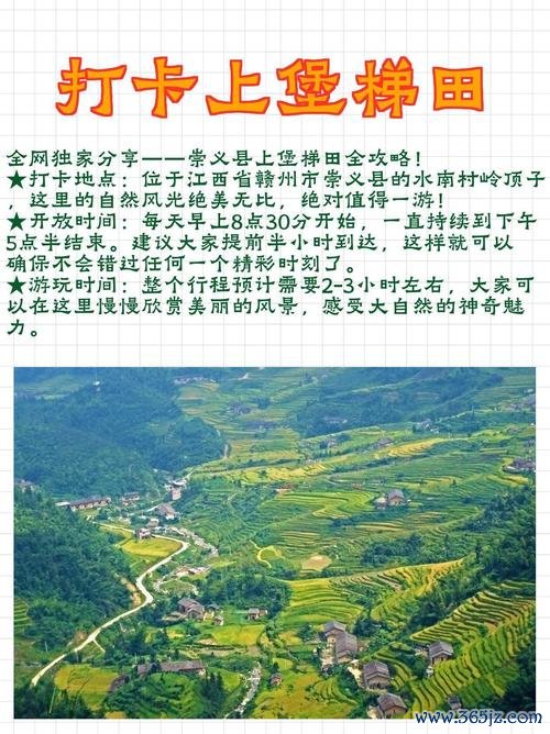 崇义最全游戏攻略解说_崇义最新游戏技巧通关