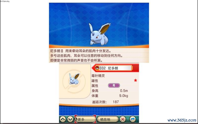 尼多朗最全游戏攻略解说_尼多朗最新游戏技巧通关