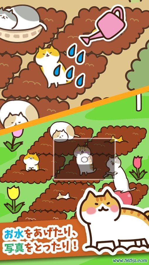 猫咪田园手机版下载
