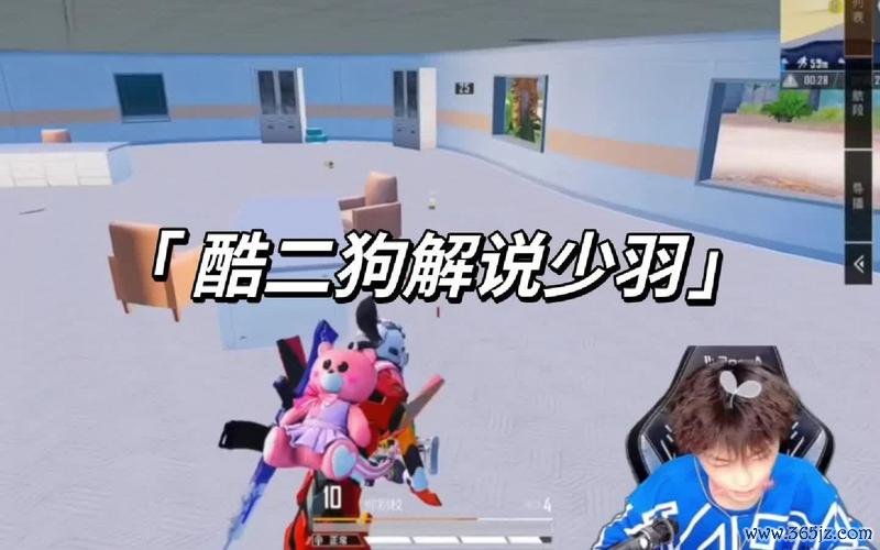 少羽最全游戏攻略解说_少羽最新游戏技巧通关