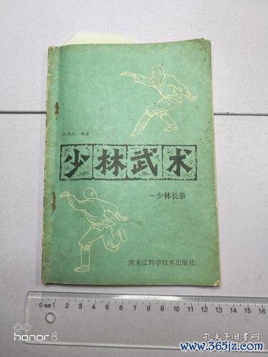 少林长拳最全游戏攻略解说_少林长拳最新游戏技巧通关