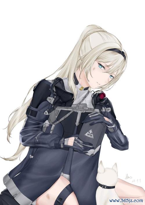 少女前线图鉴最全收录_少女前线图鉴最新情报解析