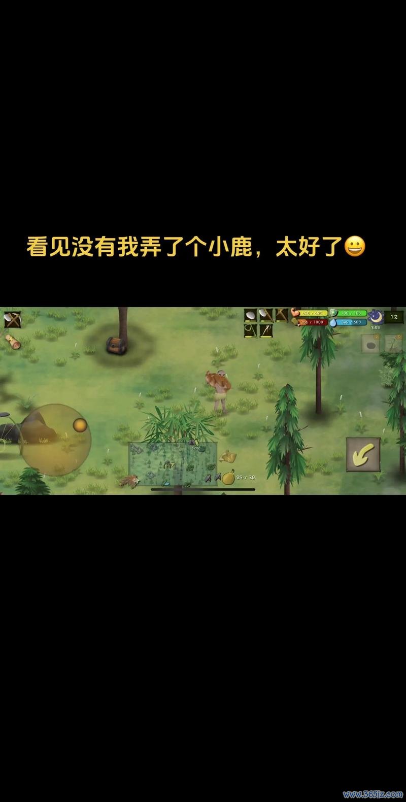 小鹿游戏最全攻略解说_小鹿游戏最新技巧通关