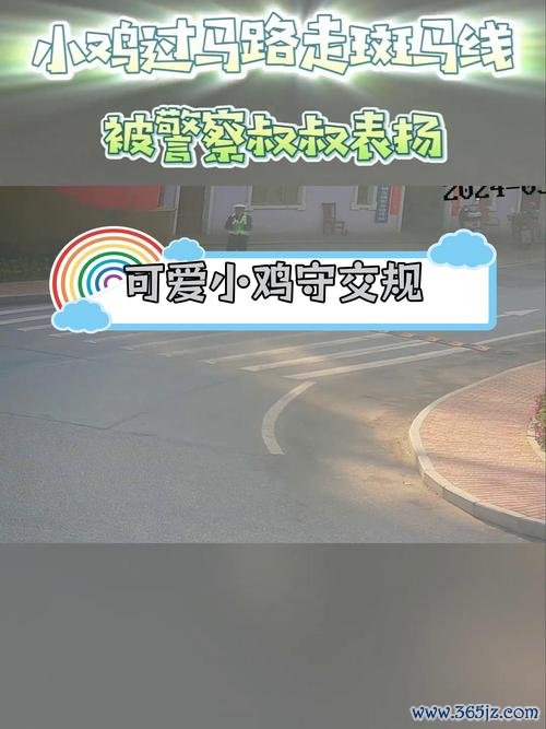 小鸡过马路最全游戏攻略解说_小鸡过马路最新游戏技巧通关