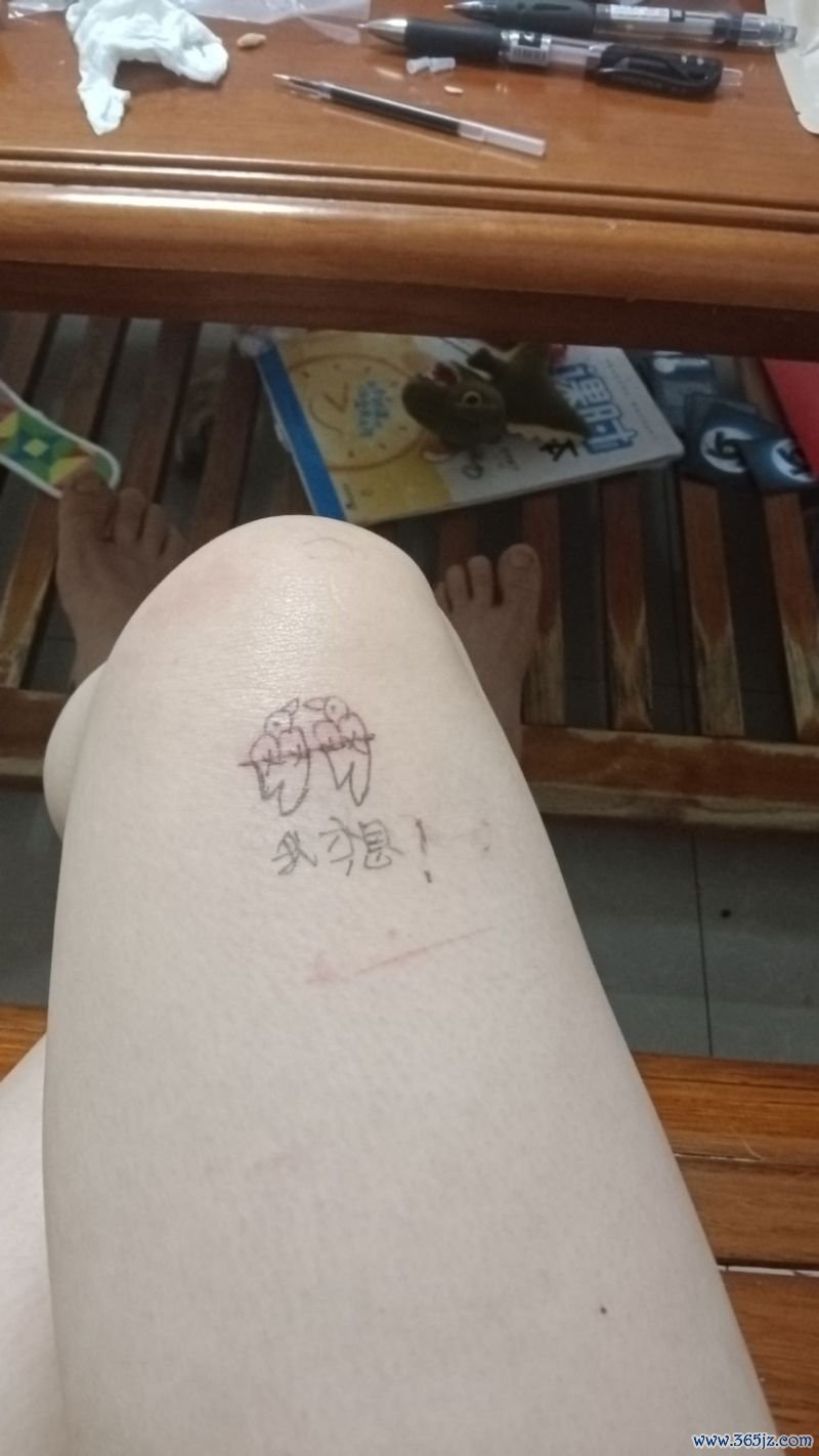 小鸟情人最全游戏攻略解说_小鸟情人最新游戏技巧通关