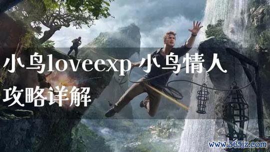小鸟情人最全游戏攻略解说_小鸟情人最新游戏技巧通关