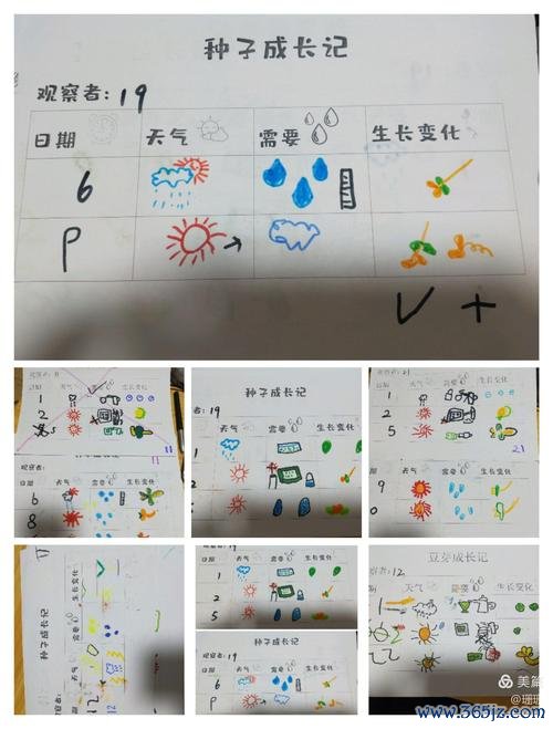 小豆芽最全游戏攻略解说_小豆芽最新游戏技巧通关