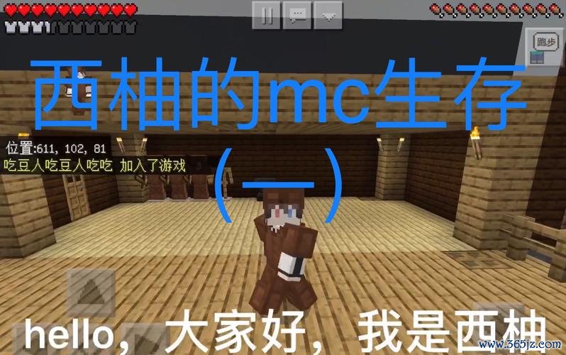 小西柚最全游戏攻略解说_小西柚最新游戏技巧通关