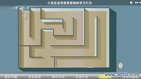 小老鼠走迷宫最全游戏攻略解说_小老鼠走迷宫最新游戏技巧通关