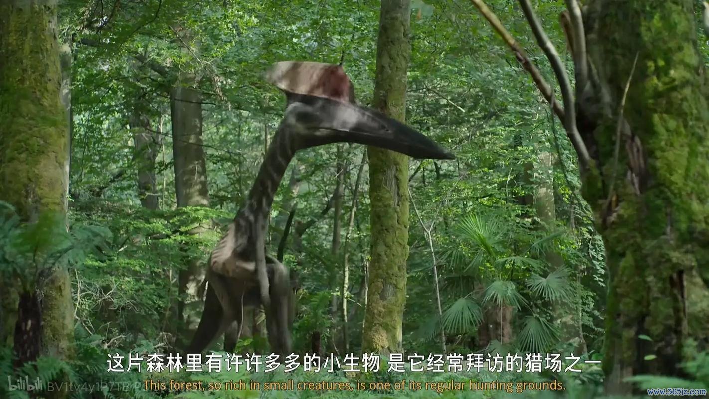 小翼龙新手入门到精通攻略_小翼龙快速升级技巧