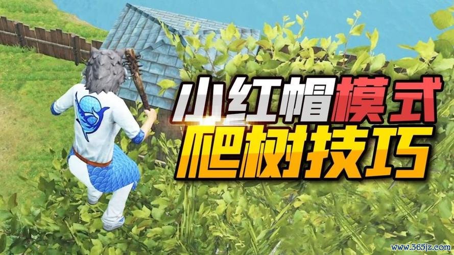小红帽回家最全游戏攻略解说_小红帽回家最新游戏技巧通关
