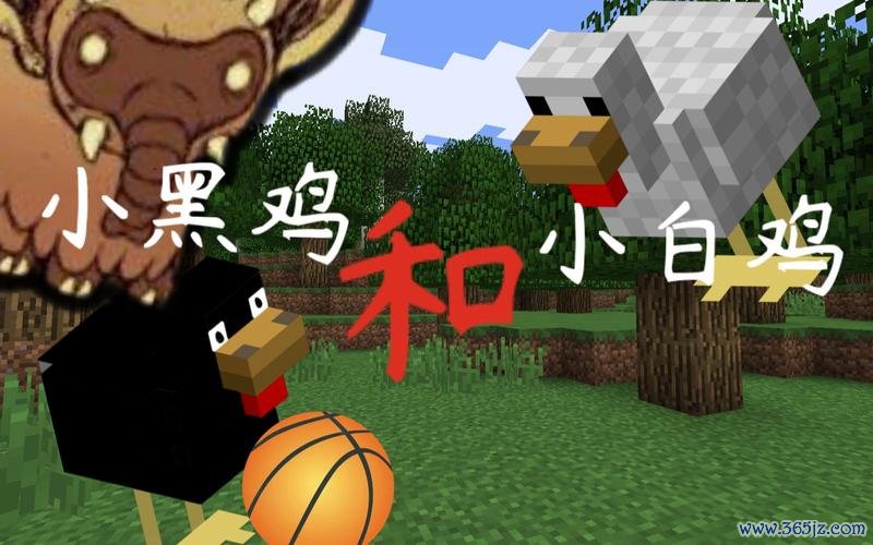 小白鸡最全游戏攻略解说_小白鸡最新游戏技巧通关