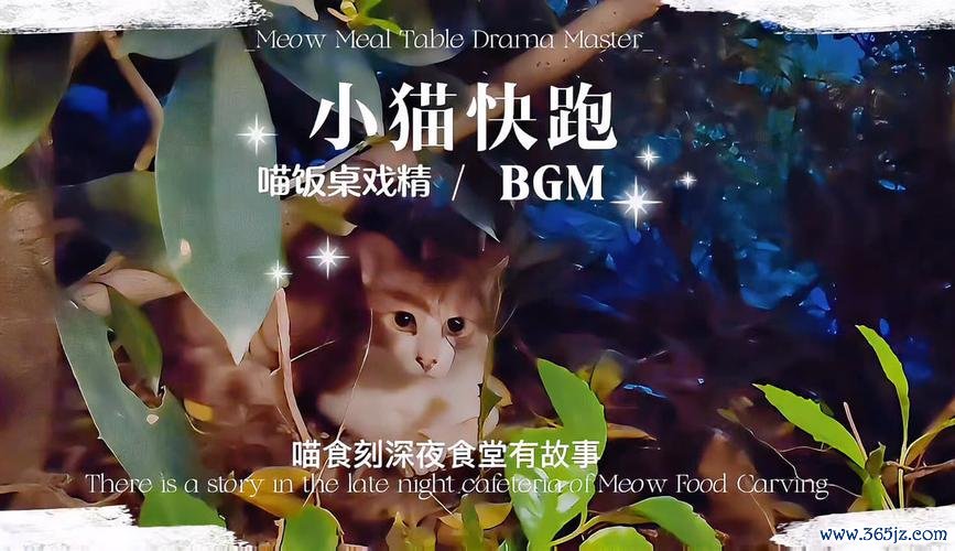 小猫快跑最全游戏攻略解说_小猫快跑最新游戏技巧通关