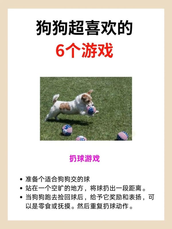 小狗游戏最全攻略解说_小狗游戏最新技巧通关