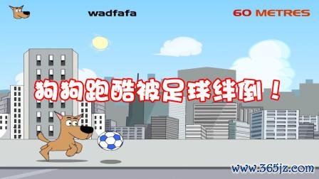 小狗快跑最全游戏攻略解说_小狗快跑最新游戏技巧通关