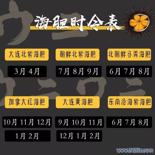小海胆最全游戏攻略解说_小海胆最新游戏技巧通关
