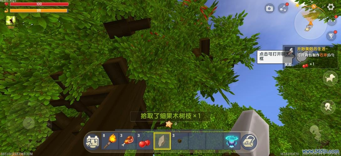 小树枝最全游戏攻略解说_小树枝最新游戏技巧通关