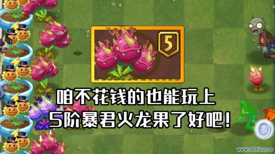 小暴君最全游戏攻略解说_小暴君最新游戏技巧通关