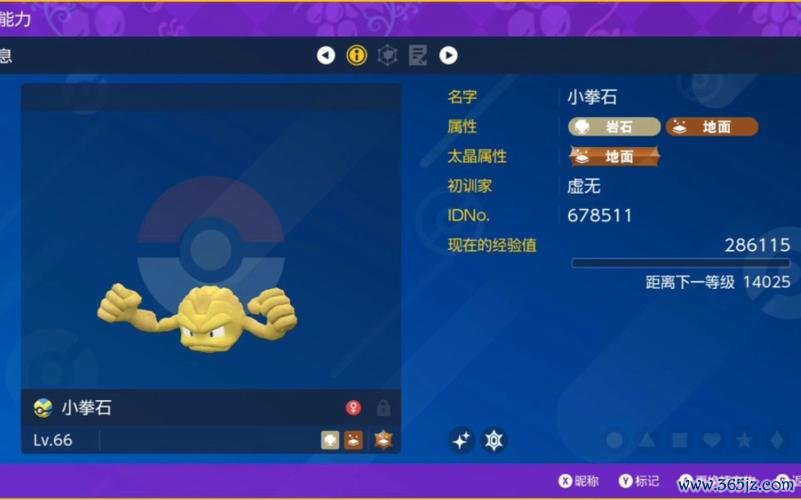 小拳石最全游戏攻略解说_小拳石最新游戏技巧通关