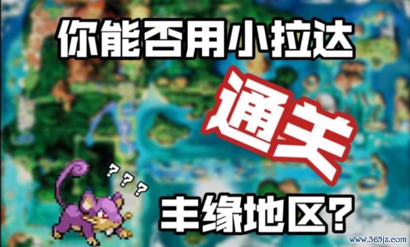 小拉达最全游戏攻略解说_小拉达最新游戏技巧通关