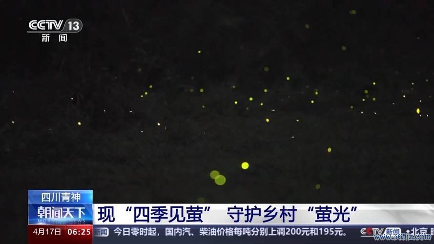 小小萤火虫最全游戏攻略解说_小小萤火虫最新游戏技巧通关