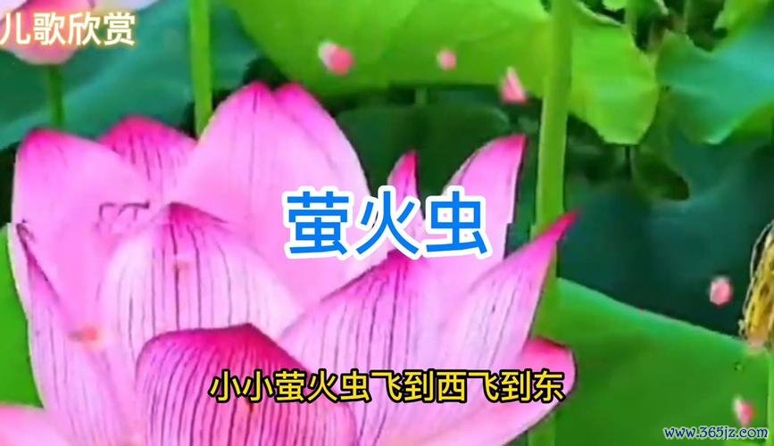 小小萤火虫最全游戏攻略解说_小小萤火虫最新游戏技巧通关