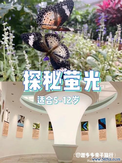 小小萤火虫最全游戏攻略解说_小小萤火虫最新游戏技巧通关