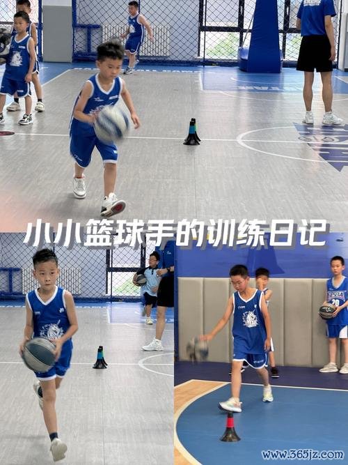 小小篮球最全游戏攻略解说_小小篮球最新游戏技巧通关