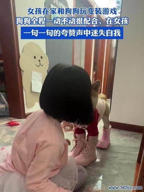 小女孩和狗最全游戏攻略解说_小女孩和狗最新游戏技巧通关